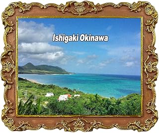 Ishigaki Okinawa Japan Travel Souvenir Refrigerator Magnets Fridge Decorative Magnet