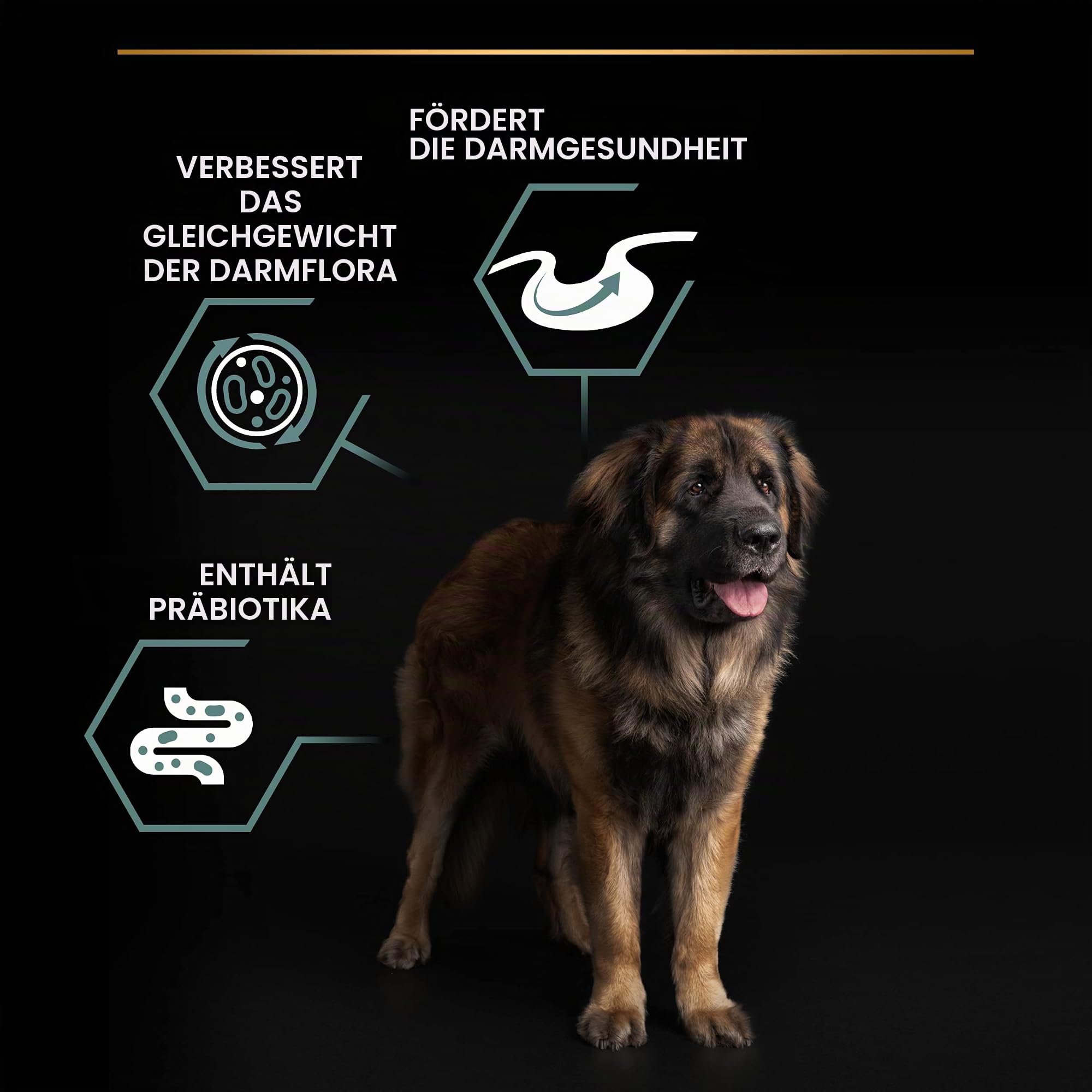 Purina Pro Plan Large Adult Robust Sensitive Skin, Hundefutter trocken, Reich an Lamm, für große Hunde, 1er Pack (1 x 14kg)