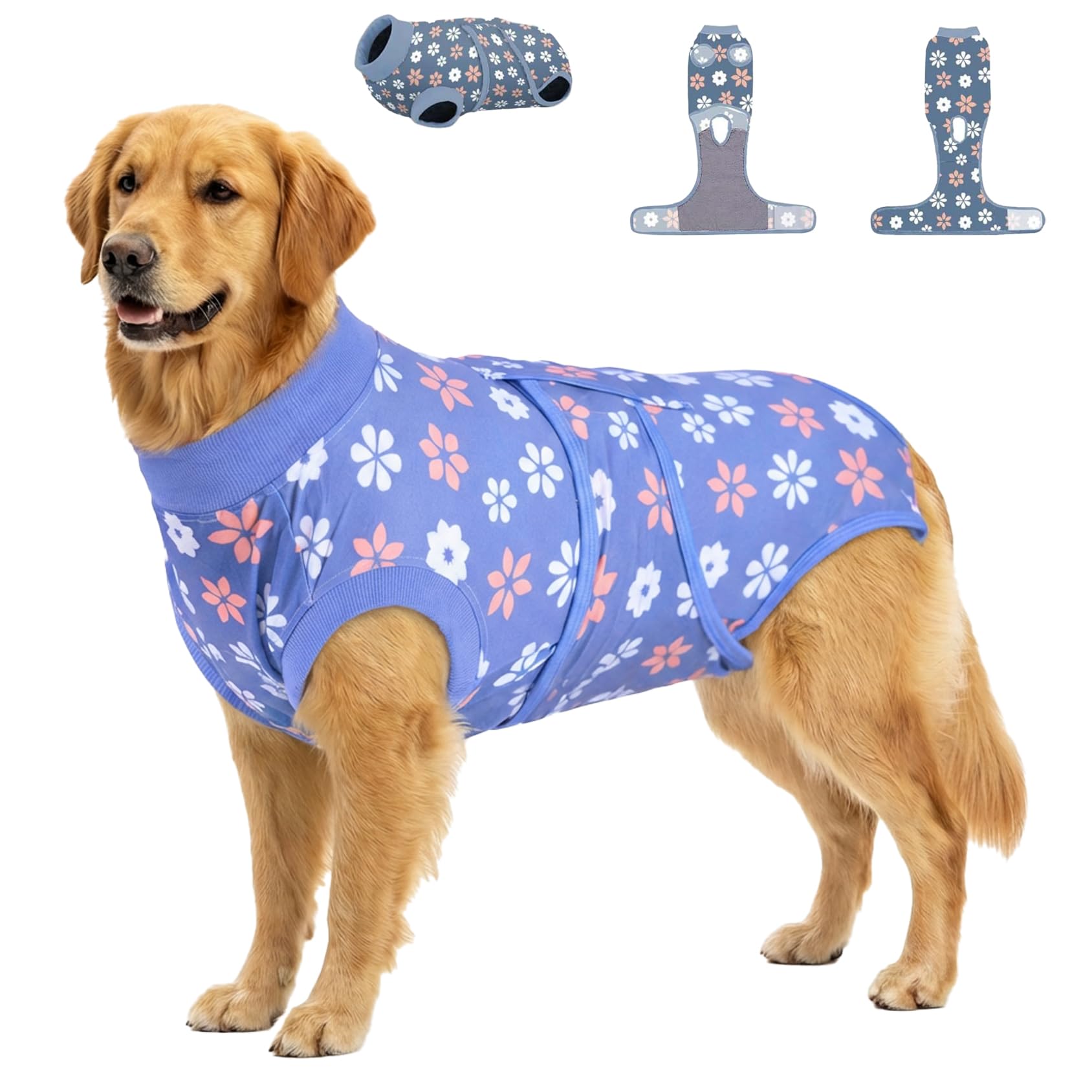 Body chirurgical pour chien femelle PetWarm alternative collerette anti-léchage des plaies