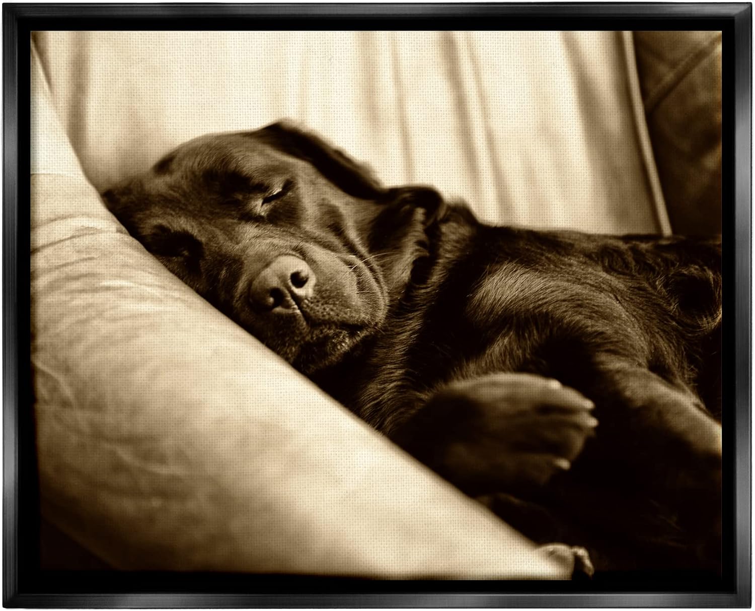 Stupell Industries Cuddling Labrador Dog Sleeping Cozy Sepia Photography Canvas Wall Art, Design By James Dobson
