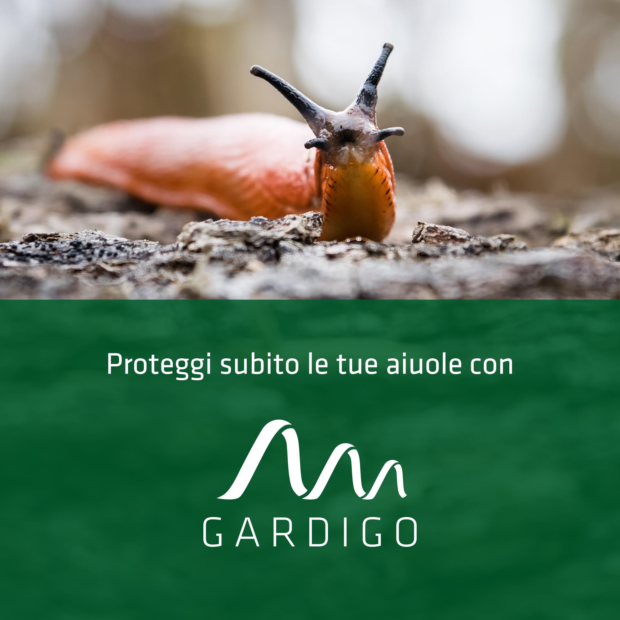 GARDIGO® Anti Lumache Biologico Orto con Aroma del Caffè 6 Pz. | Rimedi Naturali Antilumaca | Repellente Lumache e Chiocciole | Esca per Lumache | Lumachicida Bio per Lumache Vive