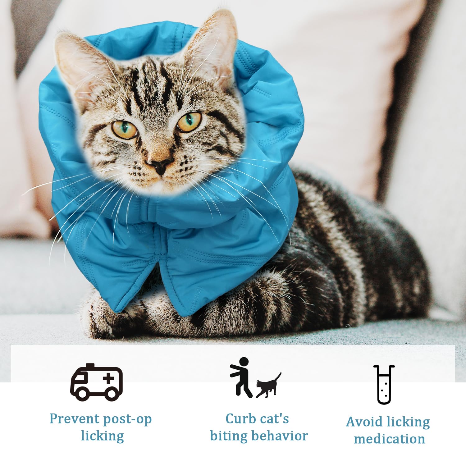 Katzenhalsband, Weich Verstellbar Cat Recovery Collar Atmungsaktiv  Katzennackenschutz Leicht Wasserdicht Ktzchenkegel-Alternative fr Welpen,  Stoppt das Lecken (S, Blau) : Amazon.de: Haustier