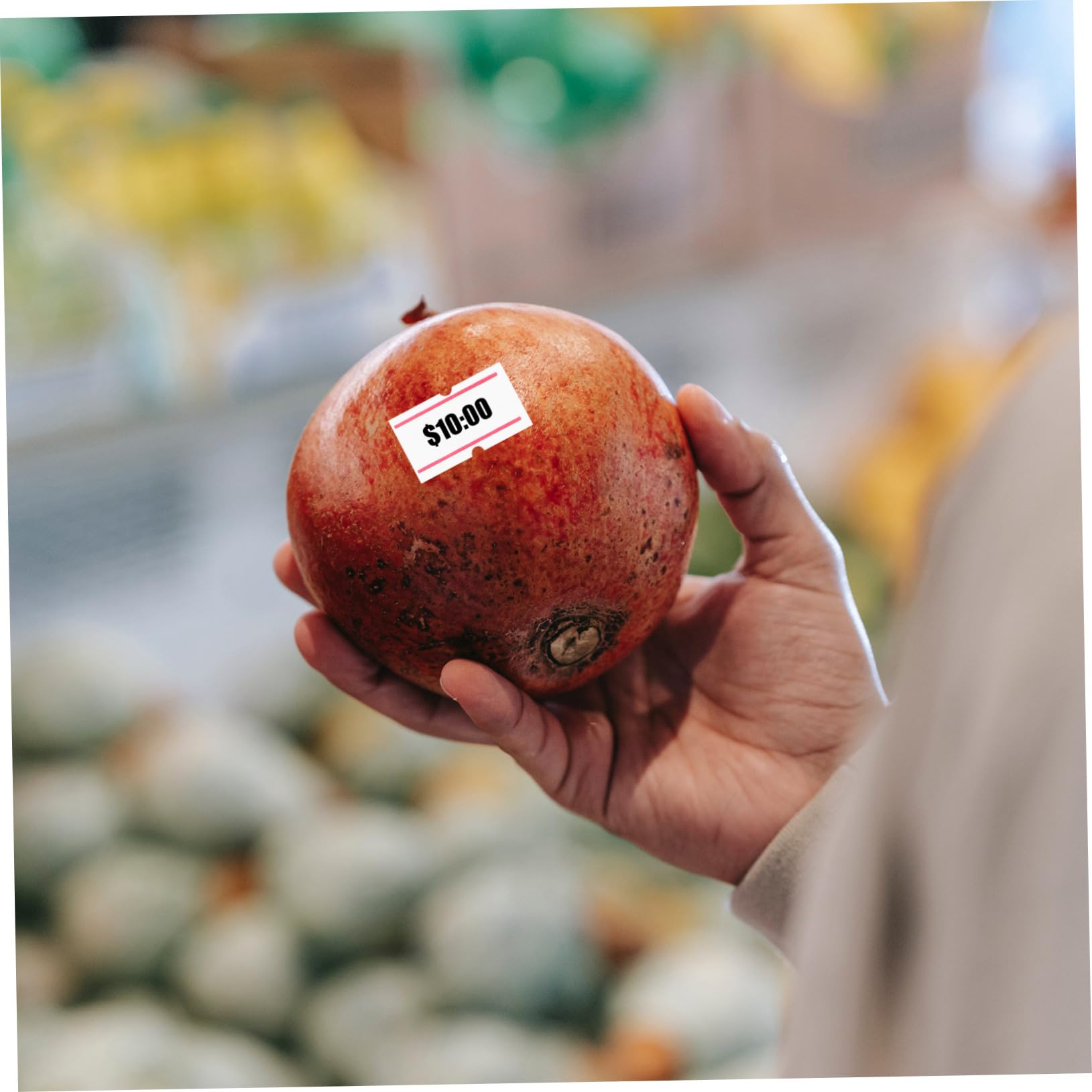 Etichette Prezzo Autoadesive 30 Pezzi Carta Bianca | Price Labeller, Uso in Fruit Store e Food Store, Cartellini dei Prezzi per Etichette Termiche Label