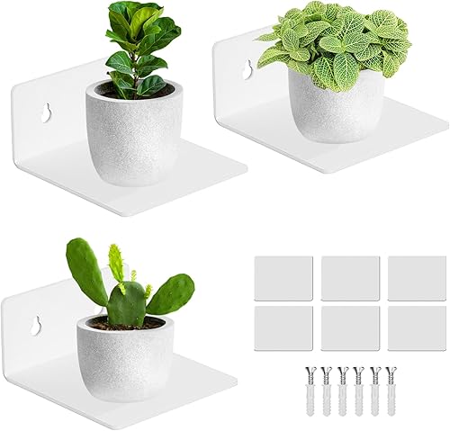Estantes de pared adhesivos de acrílico, mini estantes flotantes, estantes de exhibición de acrílico, repisas para figuras pop, plantas, foto de