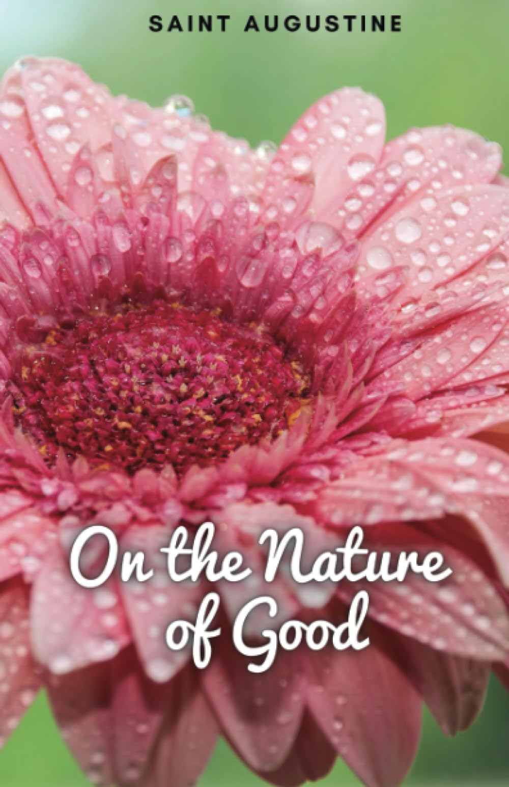 On the Nature of Good