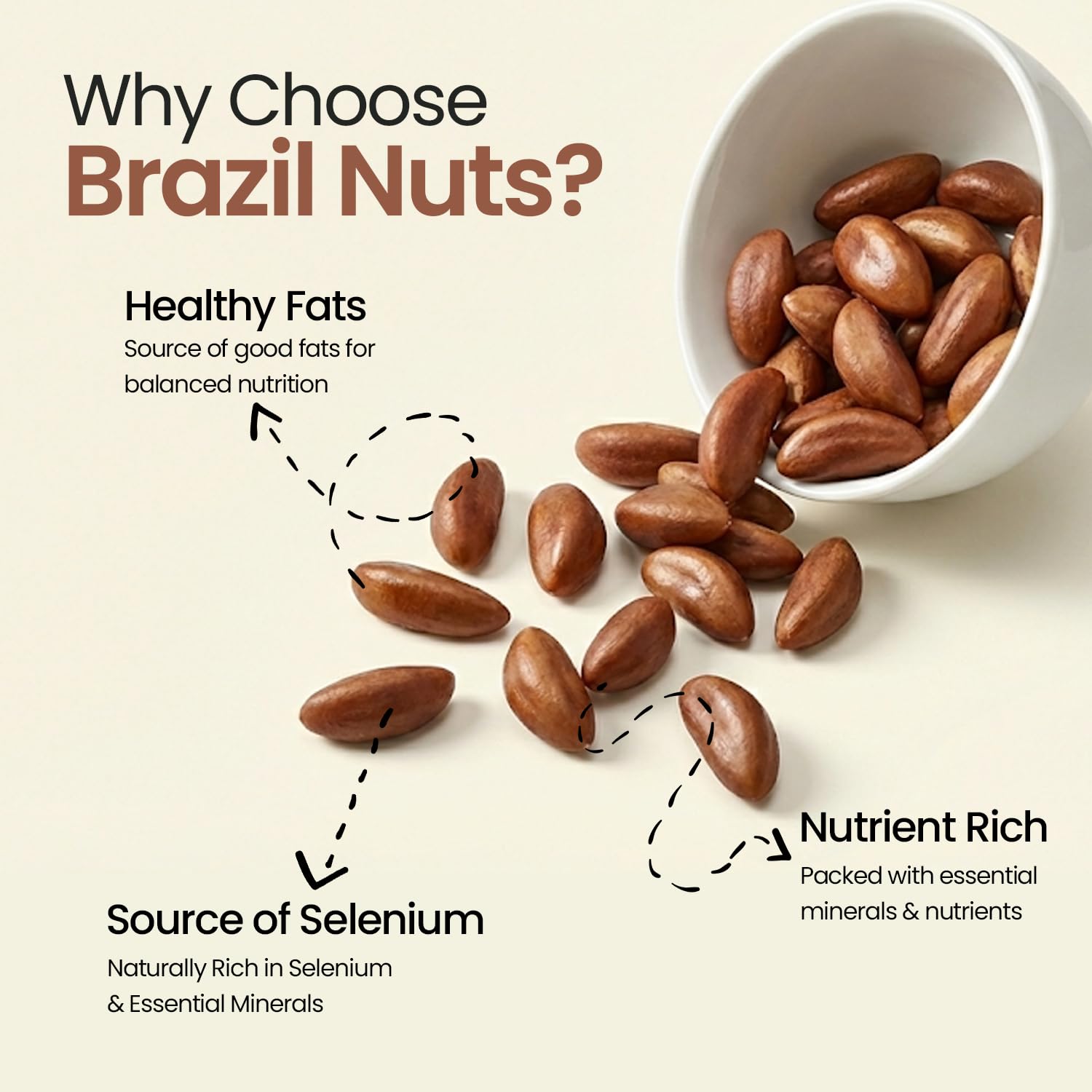 GoVegan Premium Brazil Nuts 250gm | 100% Natural & Vegan | Rich in Selenium, Protein & Healthy Fats | Superfood for Energy 2