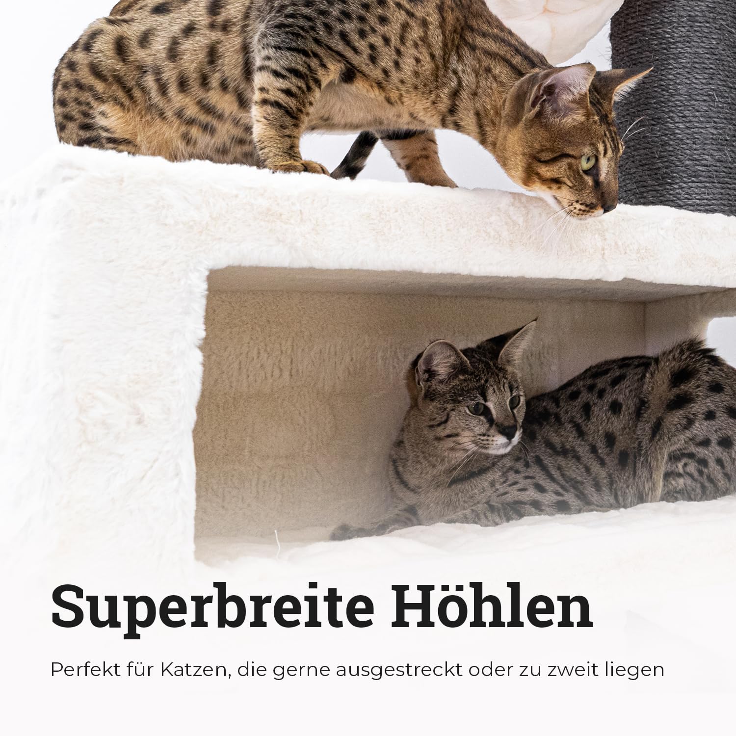 Petrebels Maine Coon drapak XXL, syberyjski, wysokość 200 cm, jakość premium, designerskie meble do drapania dla dużych kotów, kolor biały