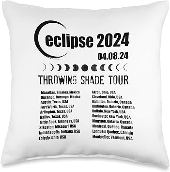 The Eclipse Store 2024 Shade Totality Cities Funny Eclipse Throw Pillow, 16x16, Multicolor
