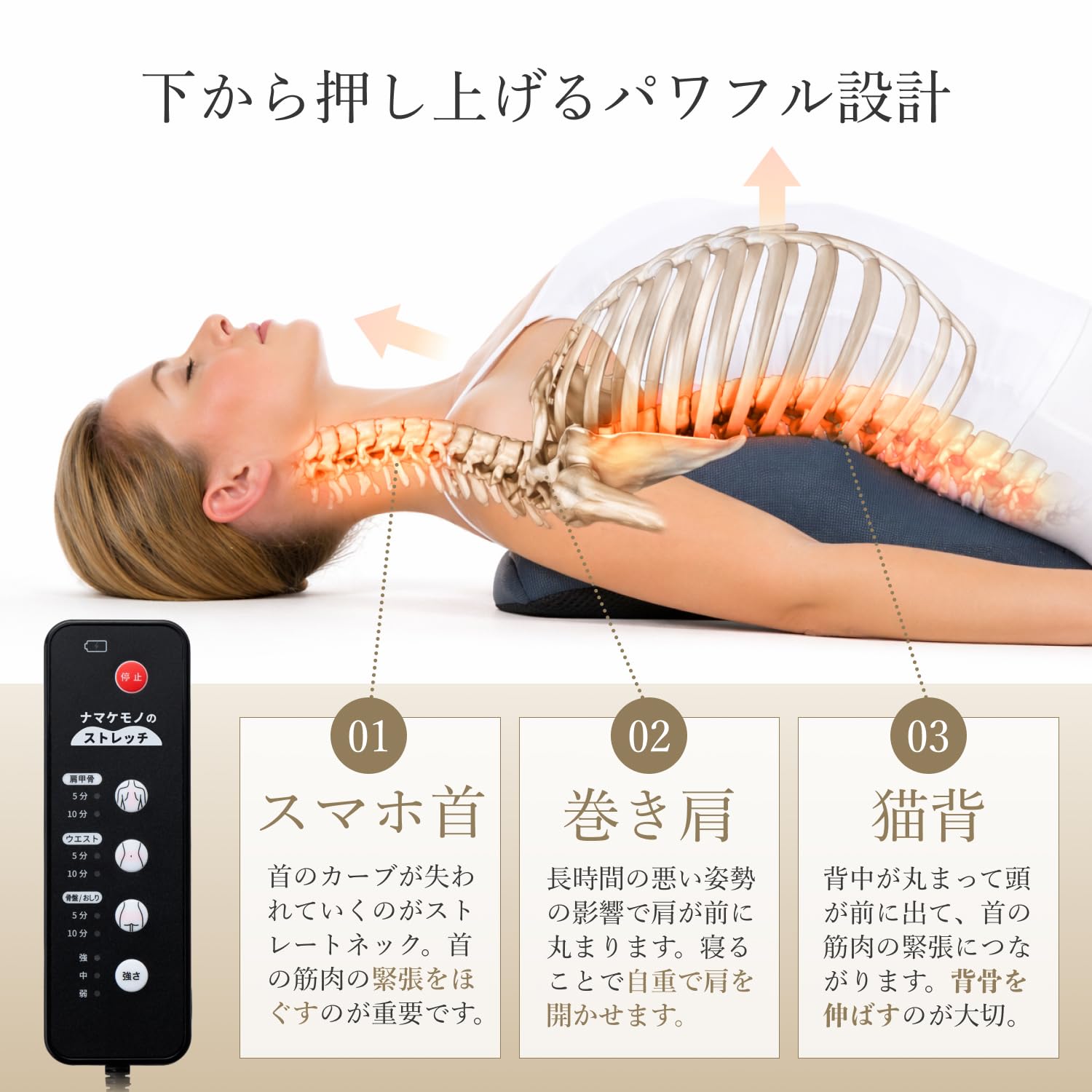 Amazon.co.jp: 整体師監修 寝ながらストレッチ ナマケモノのストレッチ