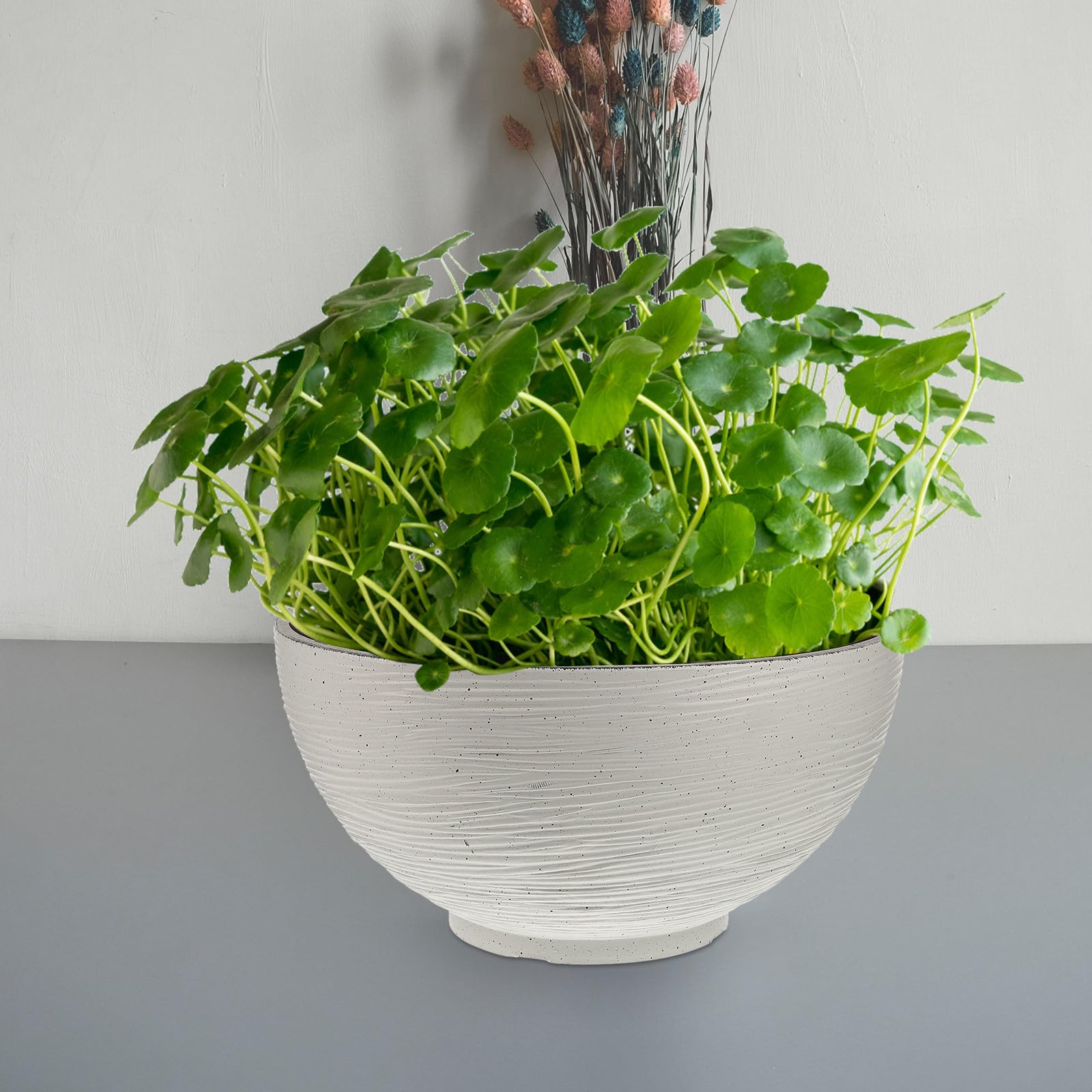 PACKOVE Pot de Fleur Intérieur Blanc Grand de Plantation Hydroponique pour Lotus et Nénuphar Jardinière Décorative Légère pour Balcon et Bureau Couleur Aléatoire