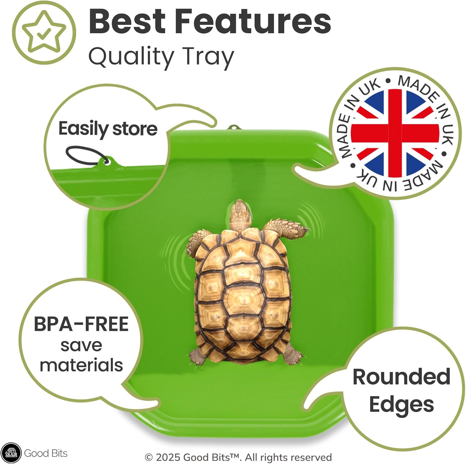 Reptile Tray (28"x28") Bathing Pool basking Platform for Aquatic Turtle Bearded Dragon Lizard Gecko Frog, Plastic Outdoor Water Shallow Bowl Green Medium