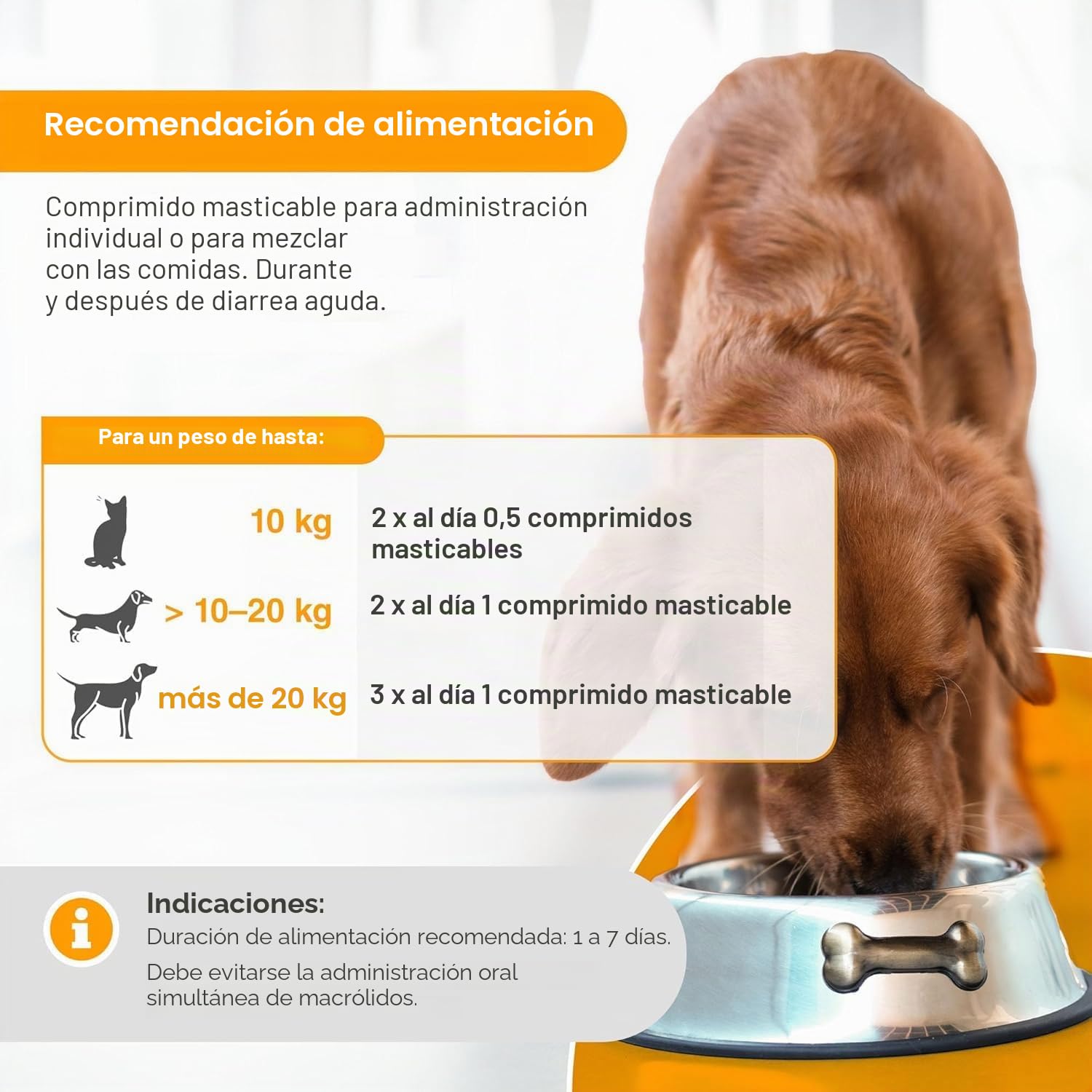 alfavet Dia Tab 20 x 5,5 g – Complemento alimenticio dietético para perros y gatos – con ingredientes vegetales para regular la digestión y la microflora intestinal – Pastillas masticables con