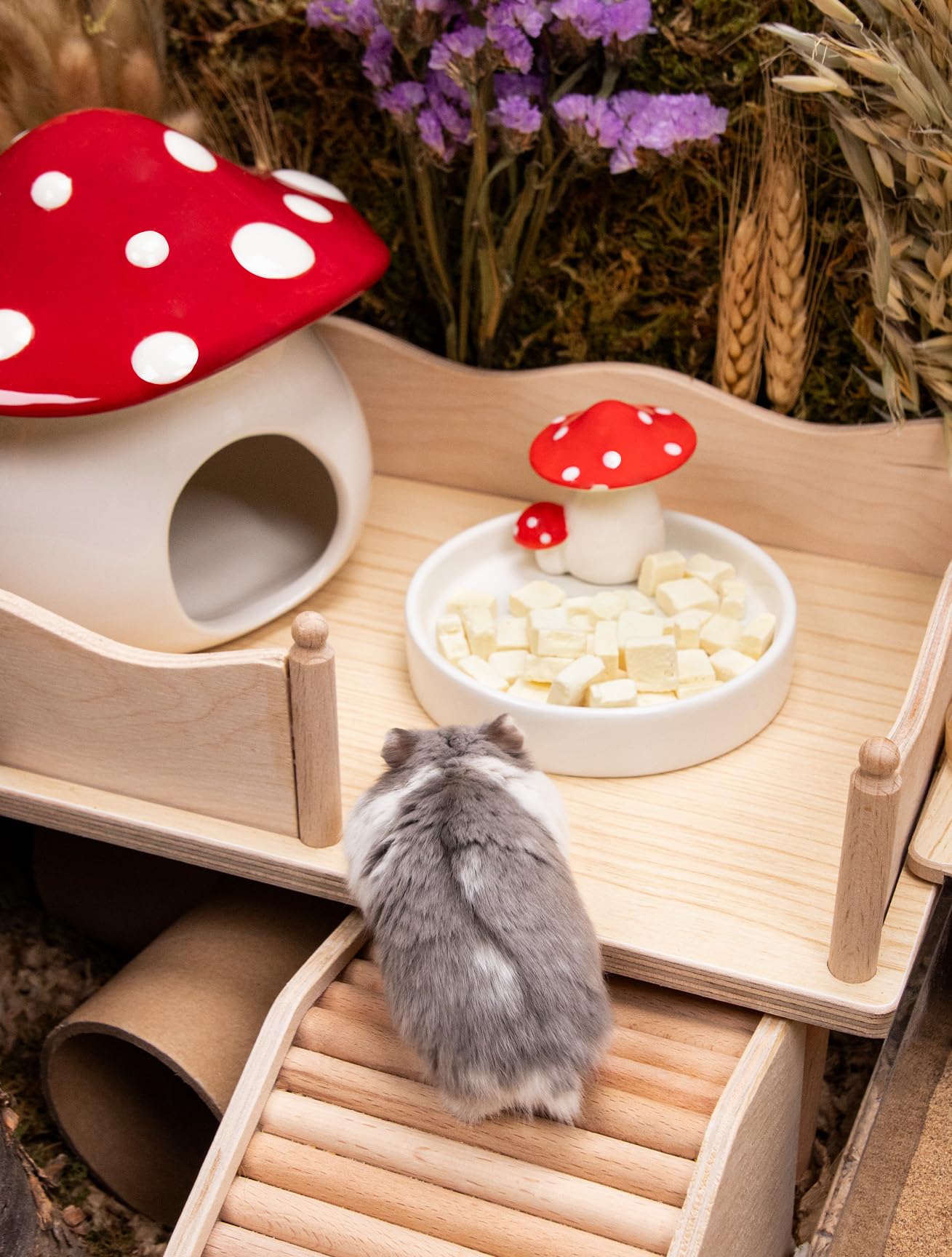 Niteangel Gamelles pour hamster - Série champignons en céramique - Gamelle pour hamsters syriens nains, gerbilles, souris, rats ou autres petits animaux de compagnie de taille similaire (gamelle