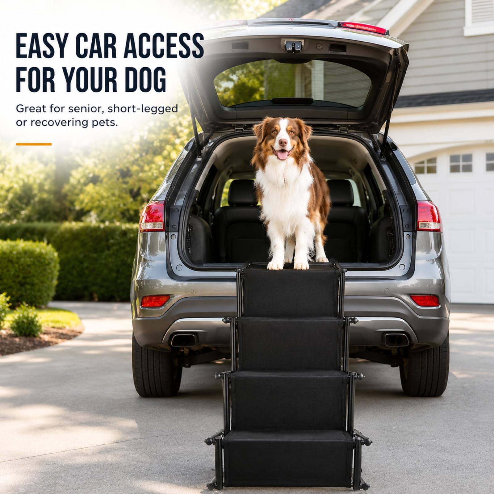 Scala per cani auto a 4 livelli, extra stabile, pieghevole, perfetta per l'entrata, per cani e cani, per cani