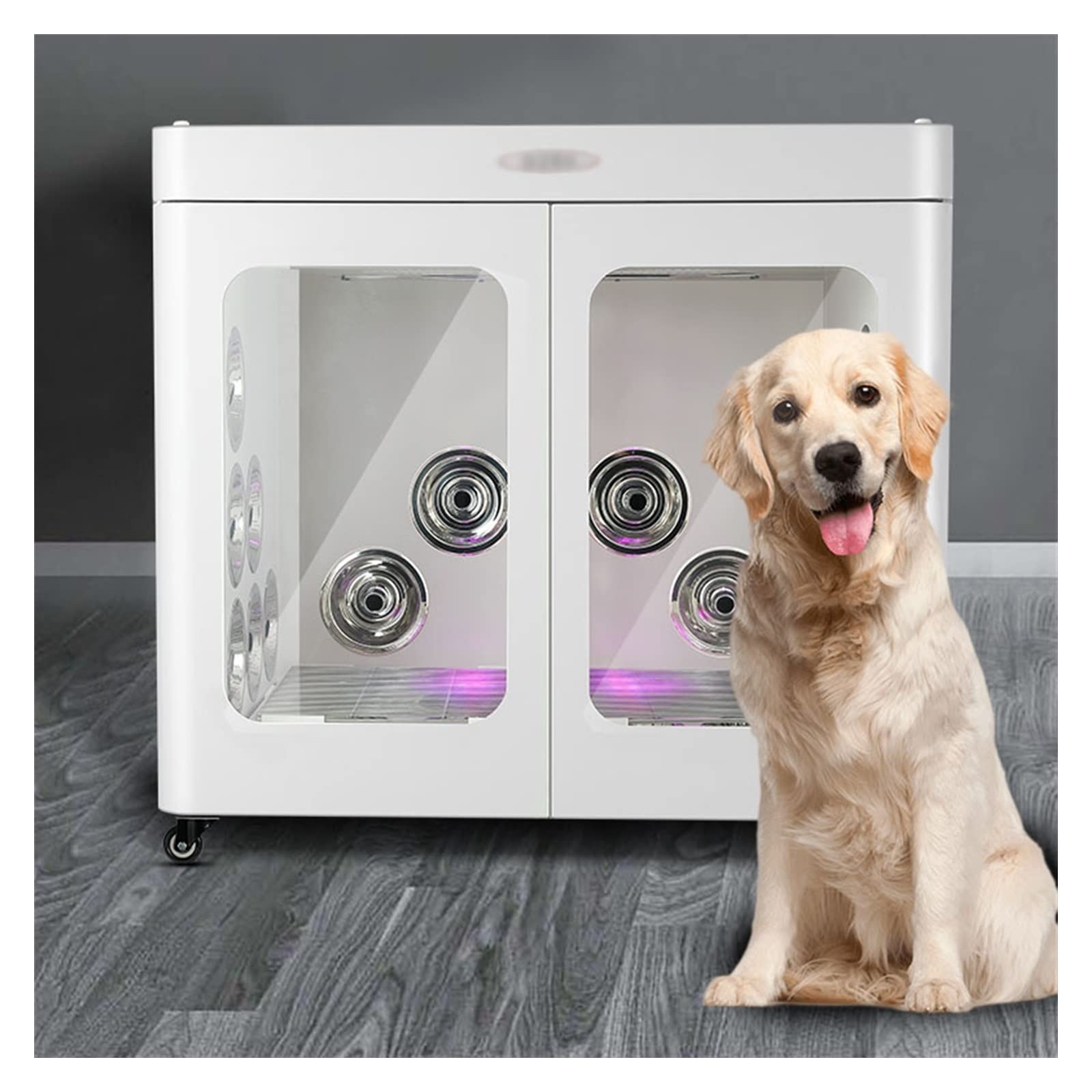 Essiccatore per animali domestici Scatola di asciugatura for animali domestici Negozio di animali domestici Bagno che soffia acqua Automatico intelligente Cani e gatti Asciugatrice silenziosa Asciugat