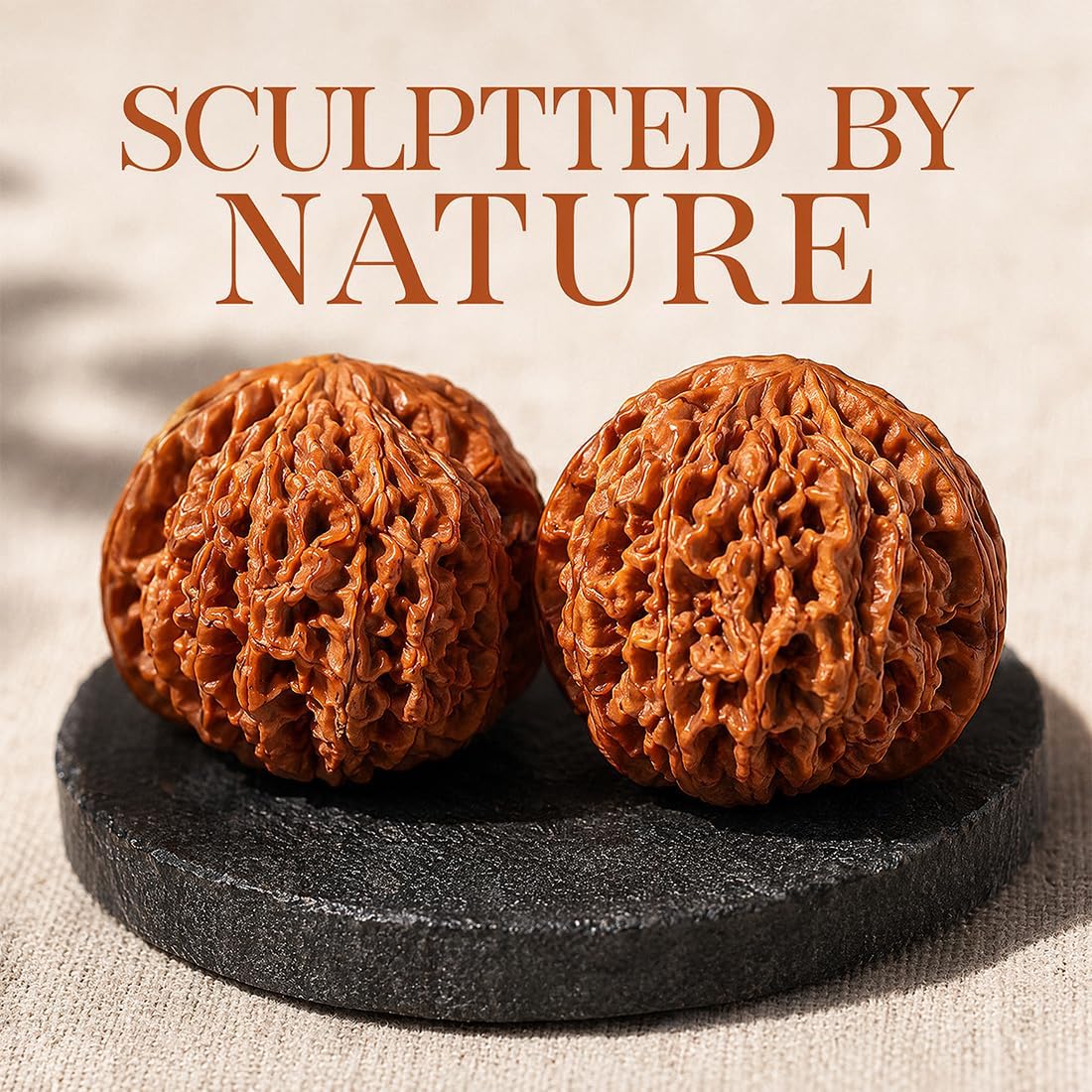 Natural Chinese Wenwan Walnuts, Chinese Walnuts Fidget For Hand Massage & Meditation, Natural Premium Wenwan Walnut Polishing Meaningful Gift For Fathers, Elders With Gift Box & Brush (C, 40mm-41mm)