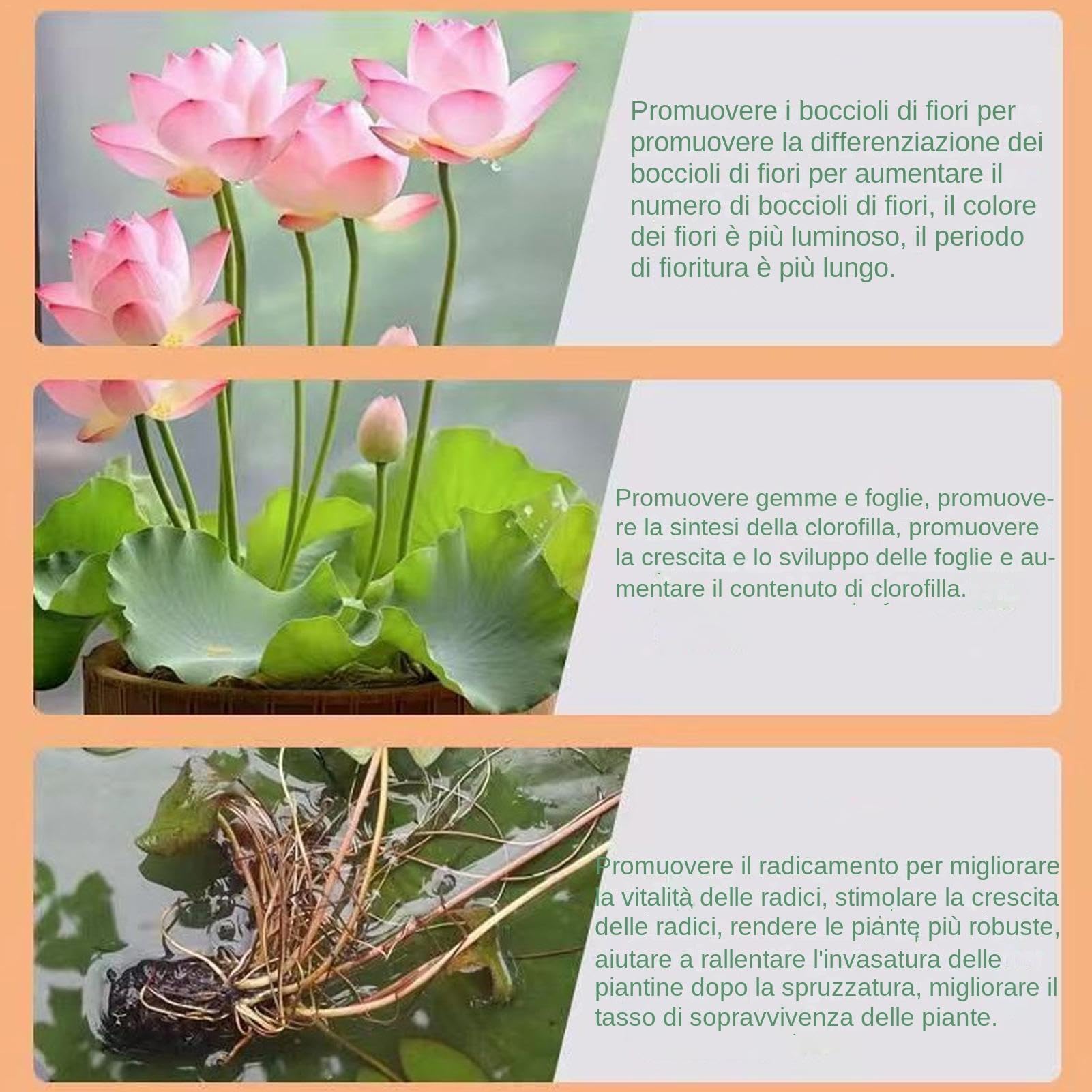 Fertilizzante Per Ninfee E Piante Acquatiche, 200g, Ricco Di Fosforo, Favorisce Fioritura E Crescita, Per Laghetti E Vasche - 3