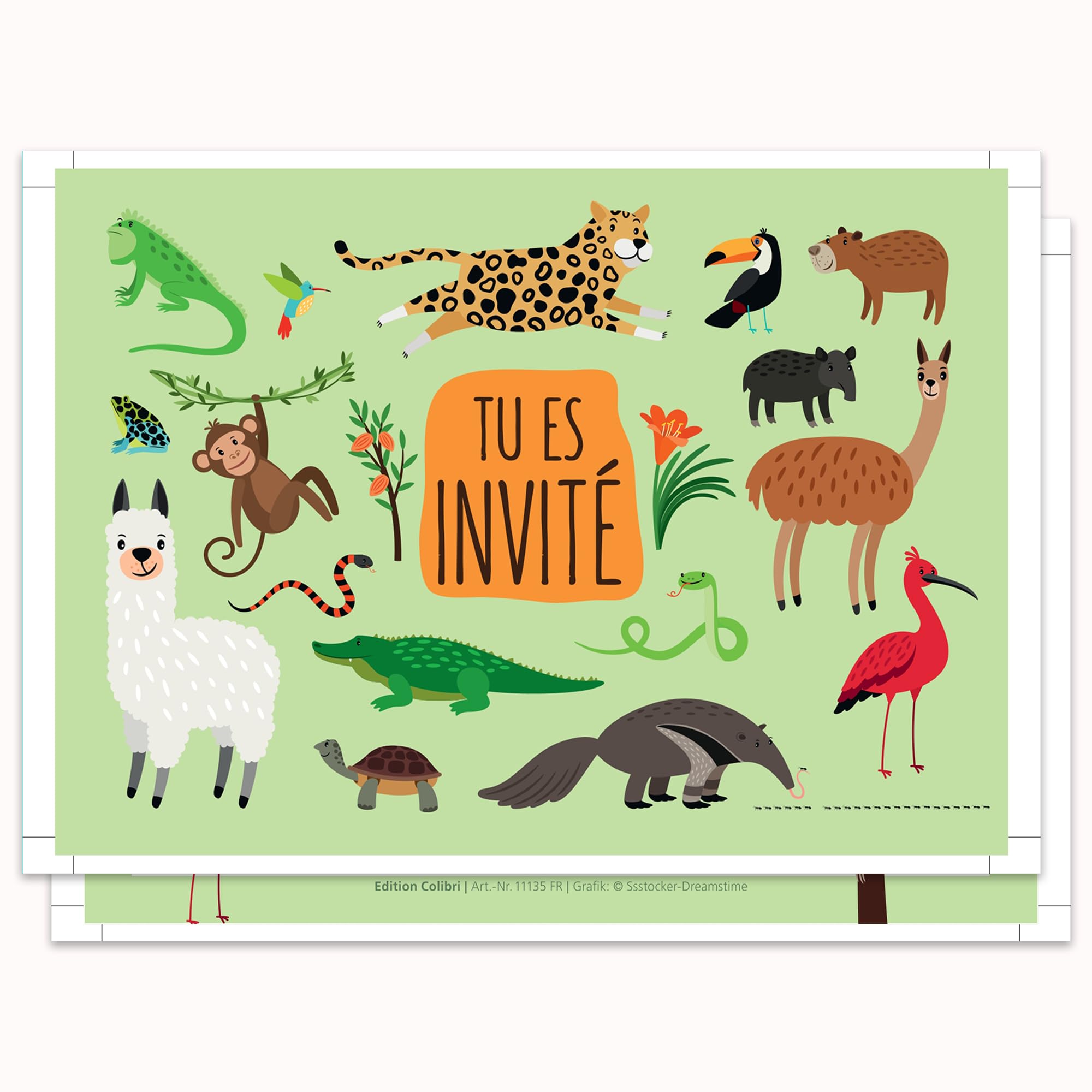 68-1099-B Carte Bonne Fête De Sainte Catherine 25 Novembre Petite Fille Sage Ballons Lapins Oiseaux Animal De Compagnie Animaux Mignon Tendre Message