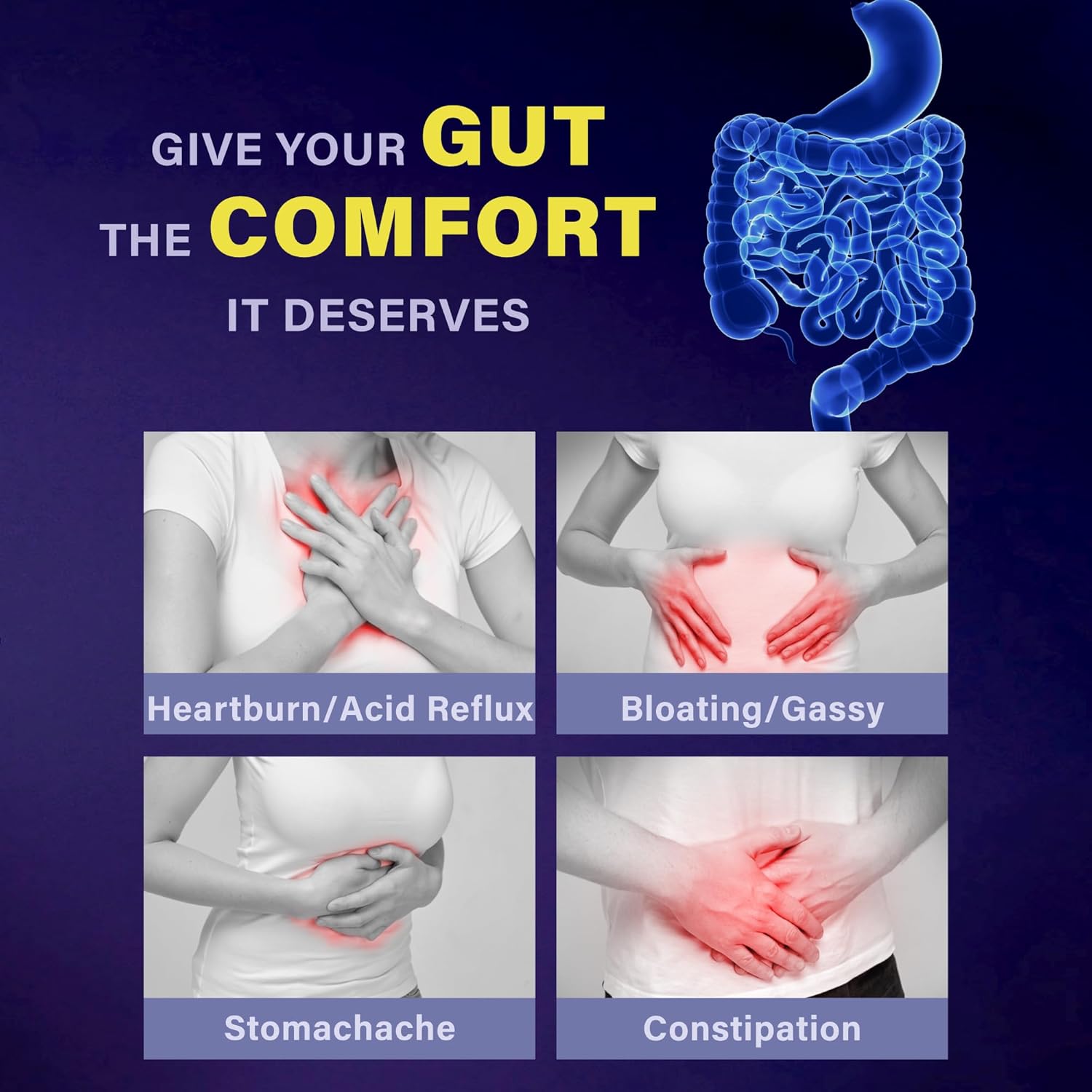 FOLONA Delayed Release Akkermansia GLP-1 Probiotic with Berberine and Soluble Beta-Glucan Prebiotic Fiber; 3 Billion AFU, 60 Capsules (2 Months Supply) for Gut Health Support