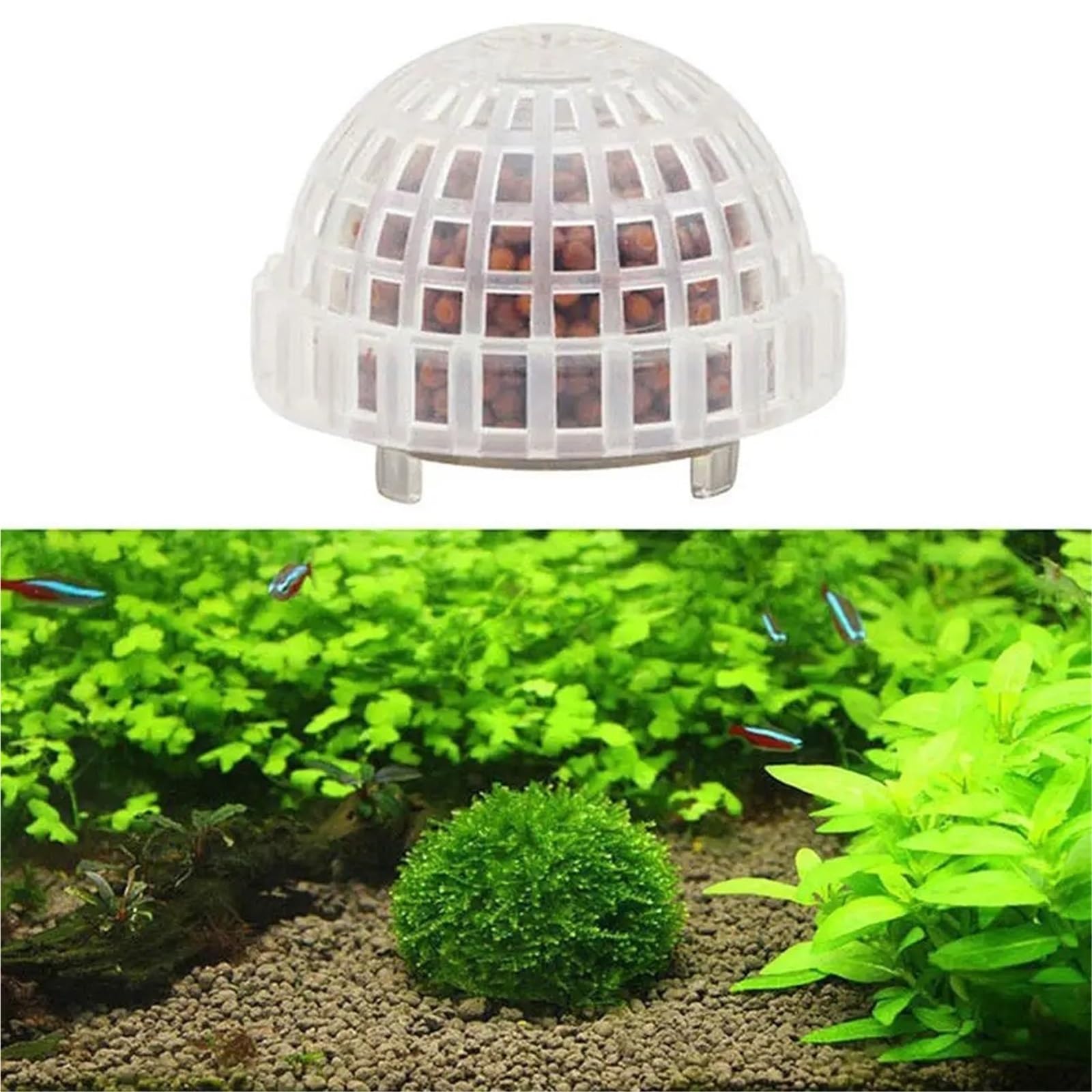 Acuario Decoración Plantas Bio Moss Ball Holder para Acuario | Accesorios de filtro de decoración for pecera, casa de camarones rojos cristalinos, for acuario(5PCS)