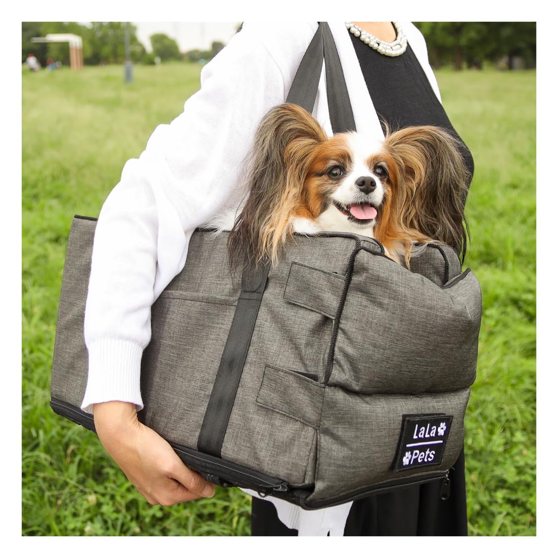 voyaju FOR lala 犬 首輪 リード ギフトBOX付き セレブ犬 71hPoJqYv6L._AC_UL210_SR210,