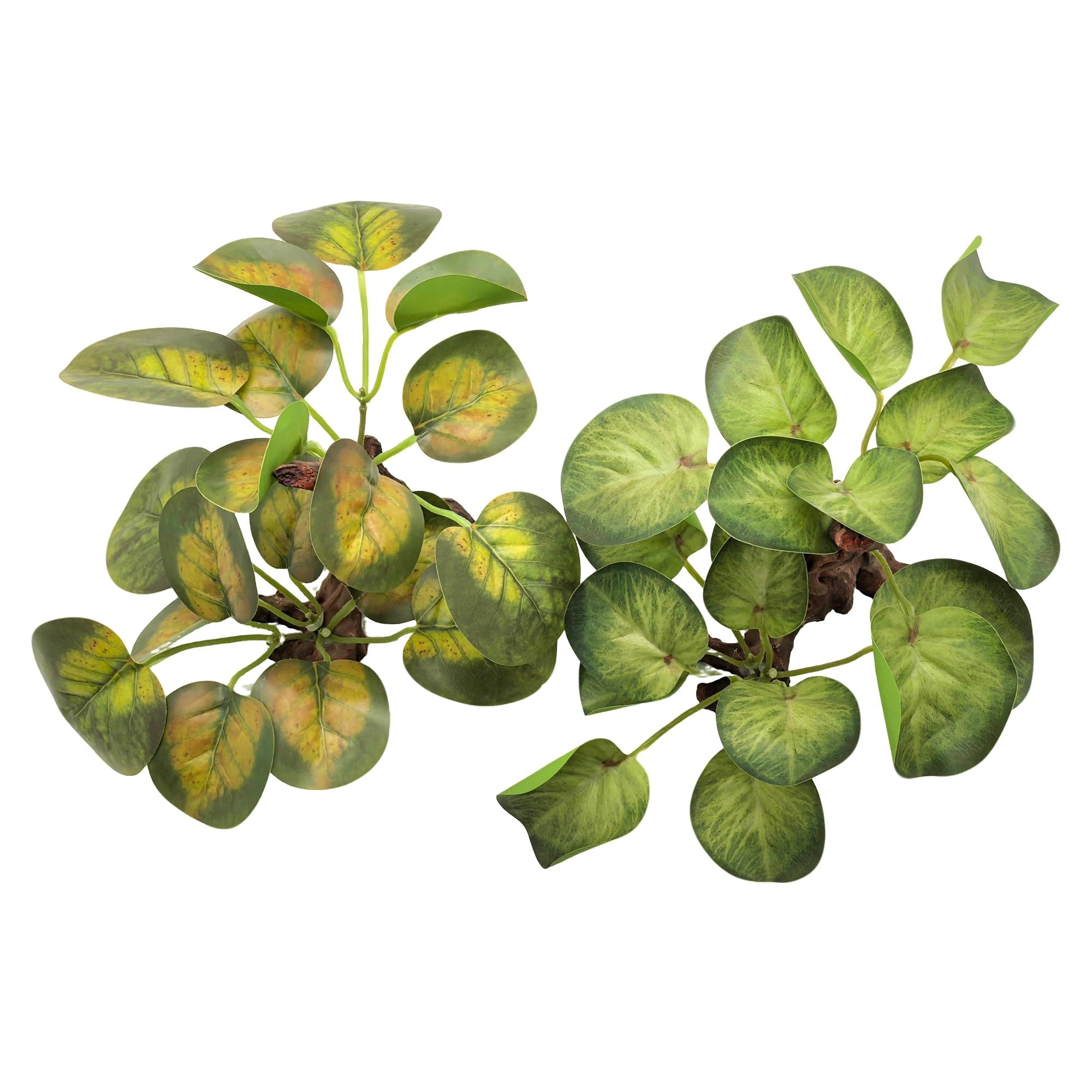 M2cbridge Fish Tank Plastic Soft Grass Water Plants Round Leaves 2pcs