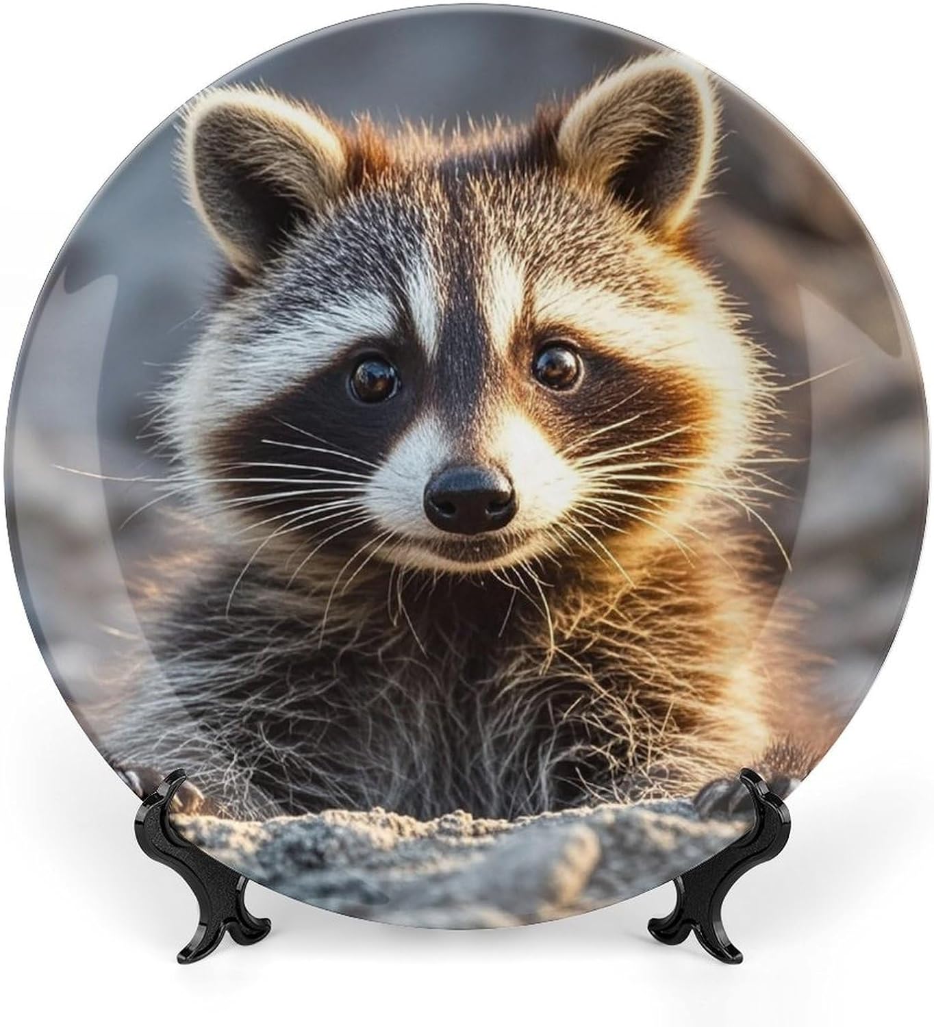 Cute Raccoon Ceramic Plate 10inch Decorative Bone China Wall Hanging Ornament Plates Bohemian Style Dinner Plate with Display Stand Cabinet Display Plates for Home Art Decor