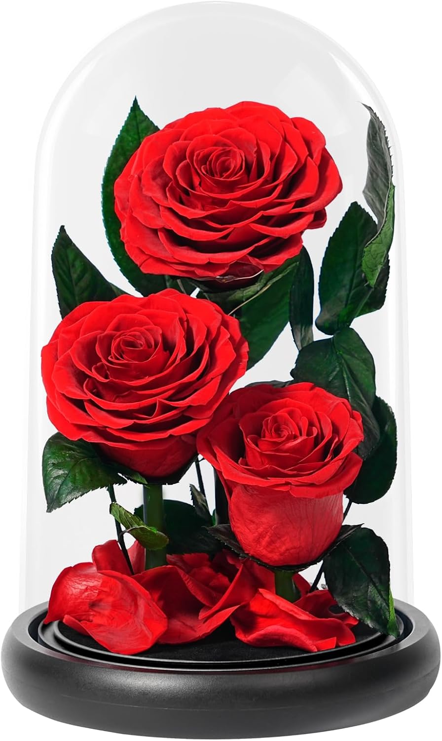 Roses Forever Preserved Flowers - Forever Flowers in Acrylic Dome for Delivery, Anniversary Birthday Preserved Rose Flower Gifts for Women Wife Mom Grandma Daughter Her Girlfriend