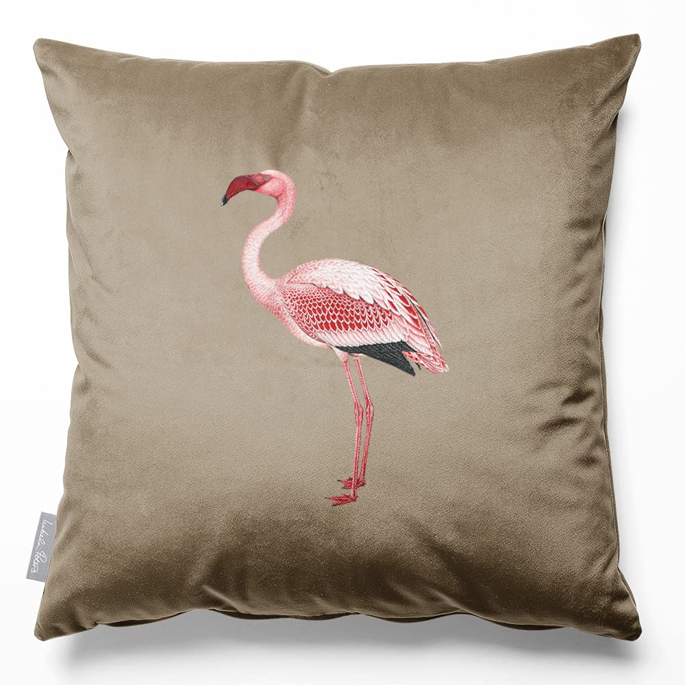 Izabela Peters Flamingo - Taupe Eco-Friendly Velvet Cushions - Filled, 50 Cm, Chair & Sofa Seat Cushions