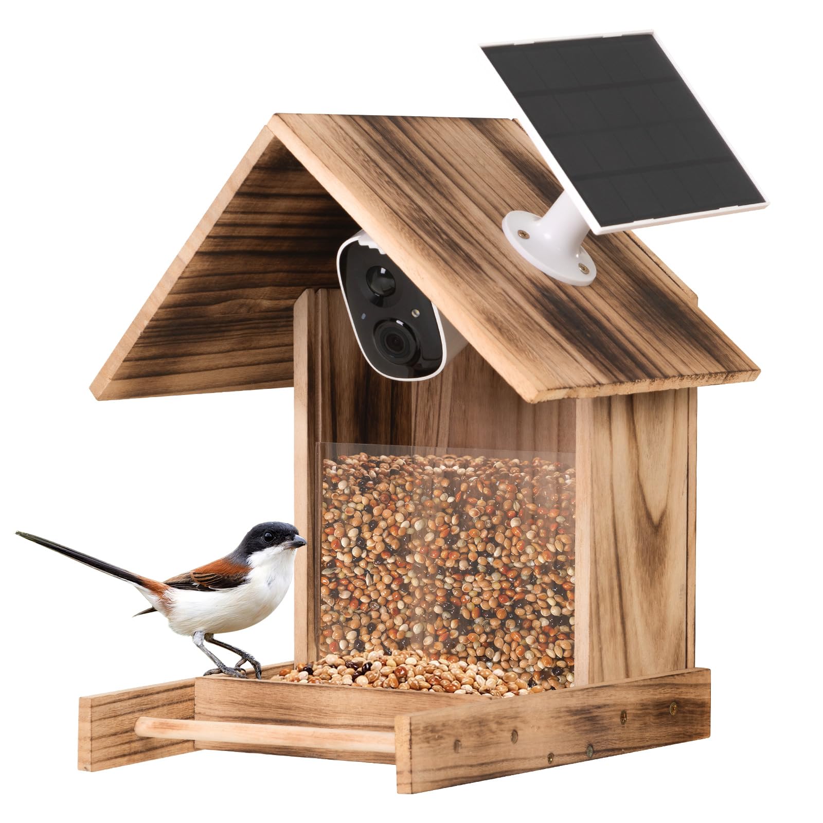 LeFluffy Smart Bird Feeder Camera Wireless Outdoor, Bird Feeder with Camera, Camera Feeder, AI Identify, Auto Capture Bird Motion Detection, Solar Powered, Notifications for Bird Lovers