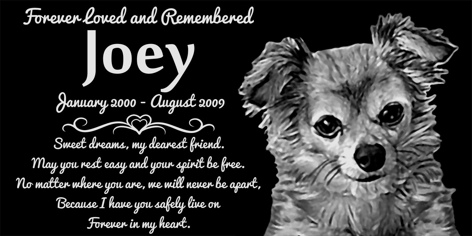 Amazon.com : Lazzari Collections Personalized Long Haired Chihuahua Dog Pet  Memorial 12"x6" Engraved Black Granite Grave Marker Head Stone Plaque JOE1  : Pet Supplies