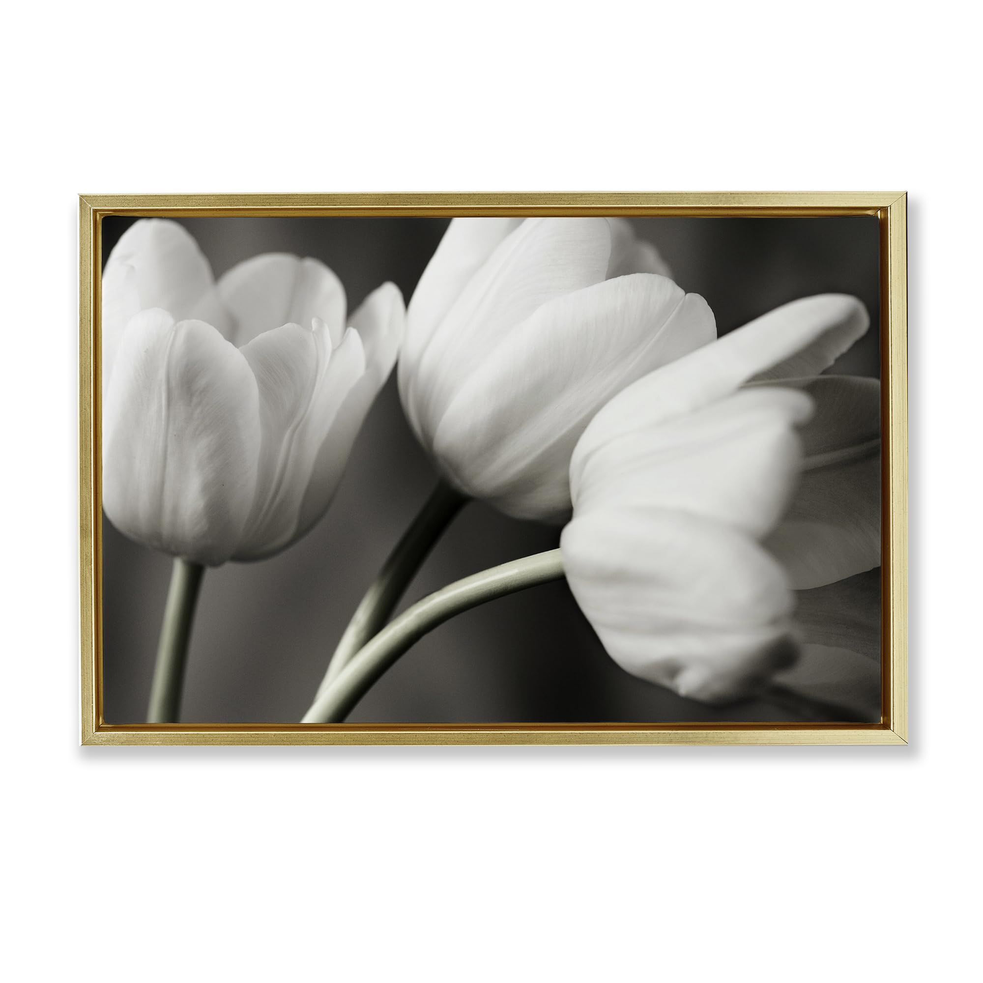 Stupell Industries Metallic Gold (Matte) 'Row Of Monochrome Tulips'| Floating Frame Canvas Art