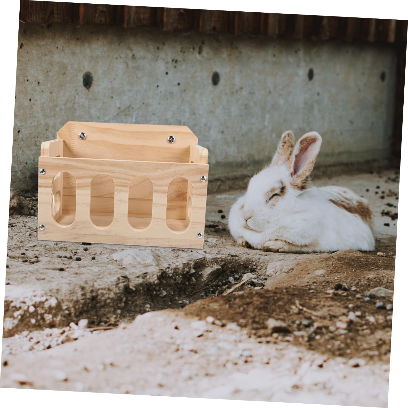 Râtelier à Lapins en Bois Design Fixe Anti-gaspillage