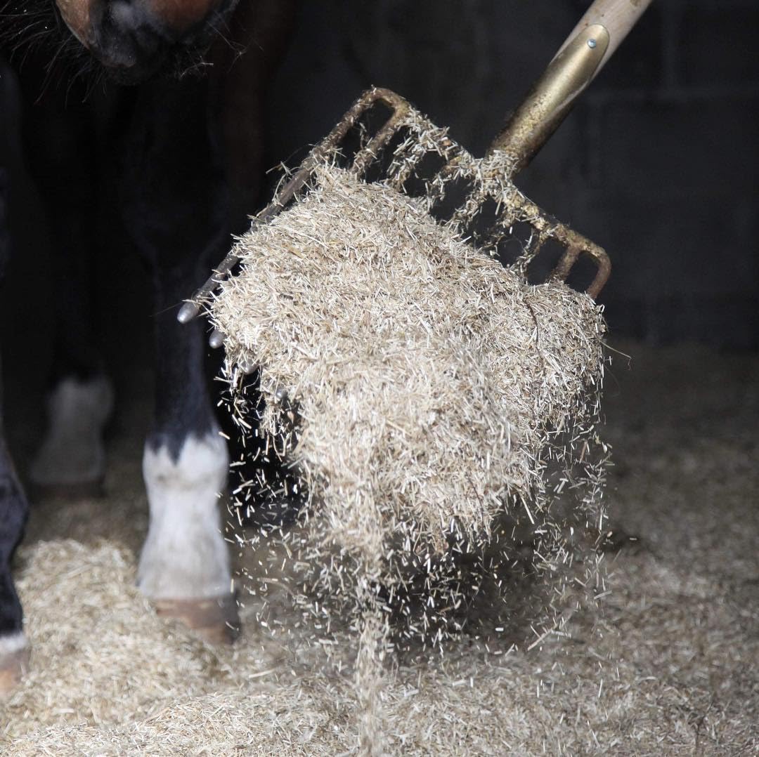 Ecoflax Lettiera di Paglia di Lino per Cavalli, Polli e Conigli | Fondo per Box Cavalli - Sacco da 120 Litri / 20 Kg