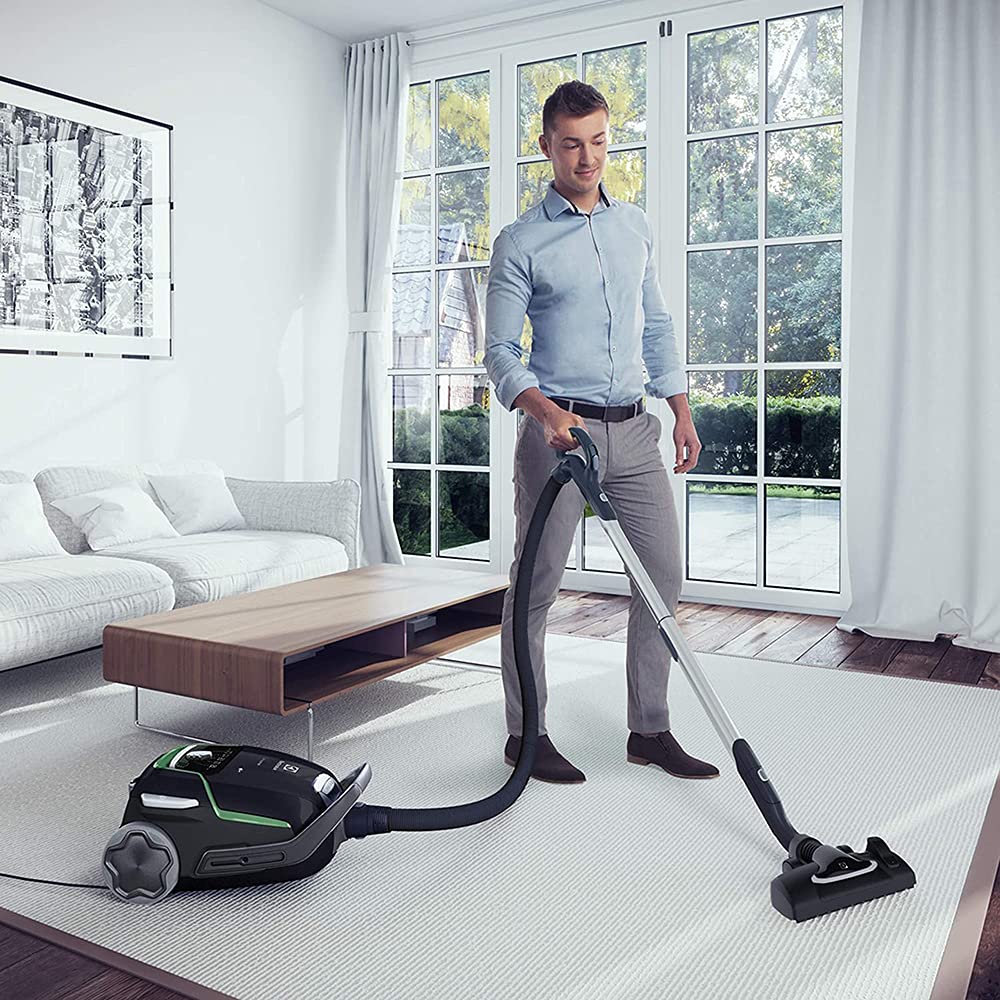 Electrolux UltraOne, Aspirateur Traineau avec Sac, Ultra Silencieux 65 DB, 2 Sacs Inclus, Performance d'Aspiration, Poignée Ergonomique, EUO9GREEN, Noir