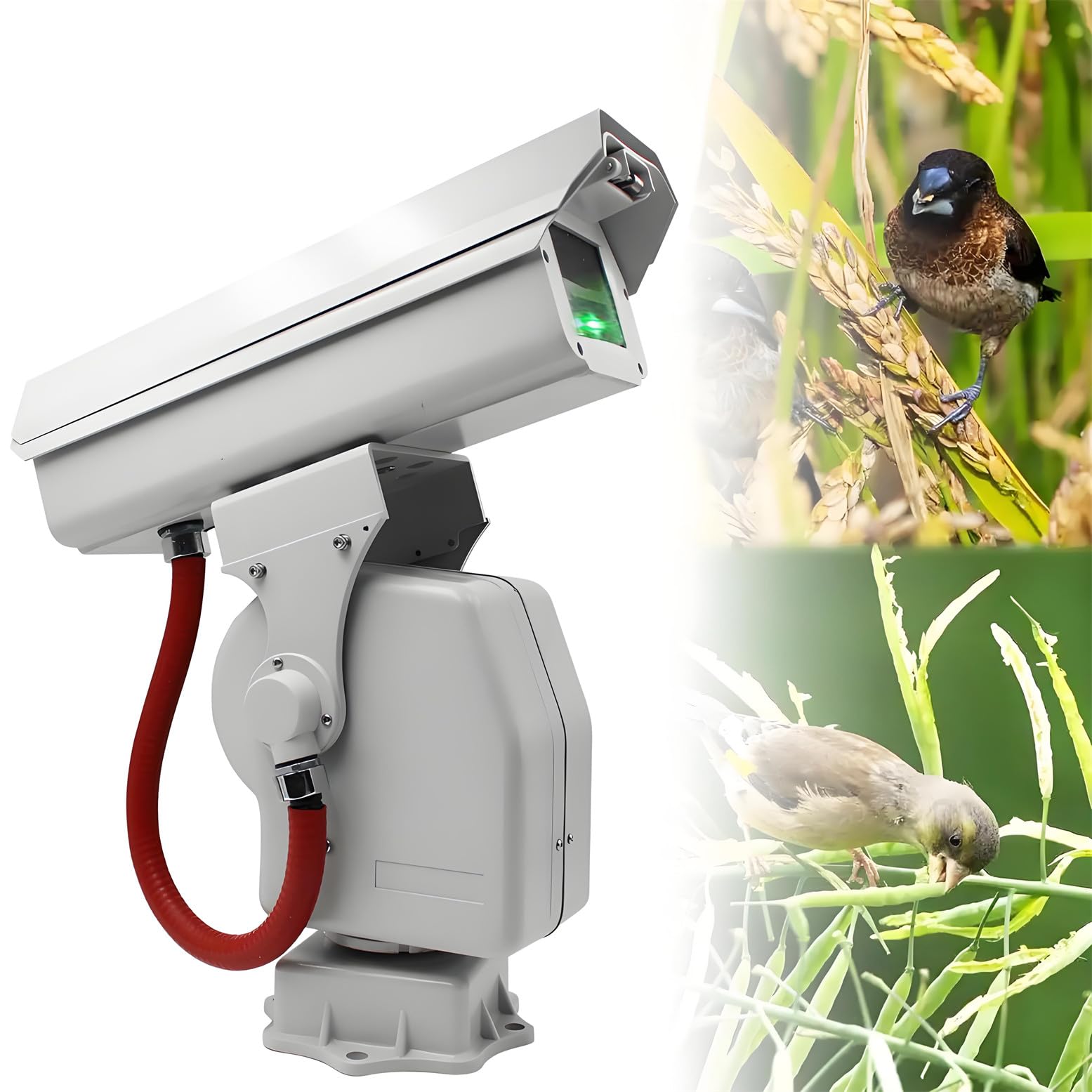 Automatic Bird Scarer, 360°Bird Repellent with APP Control, Green Light Deterrent for Outdoor, Garden, Farm, Airport, Industrial &amp; Home Use Straightline