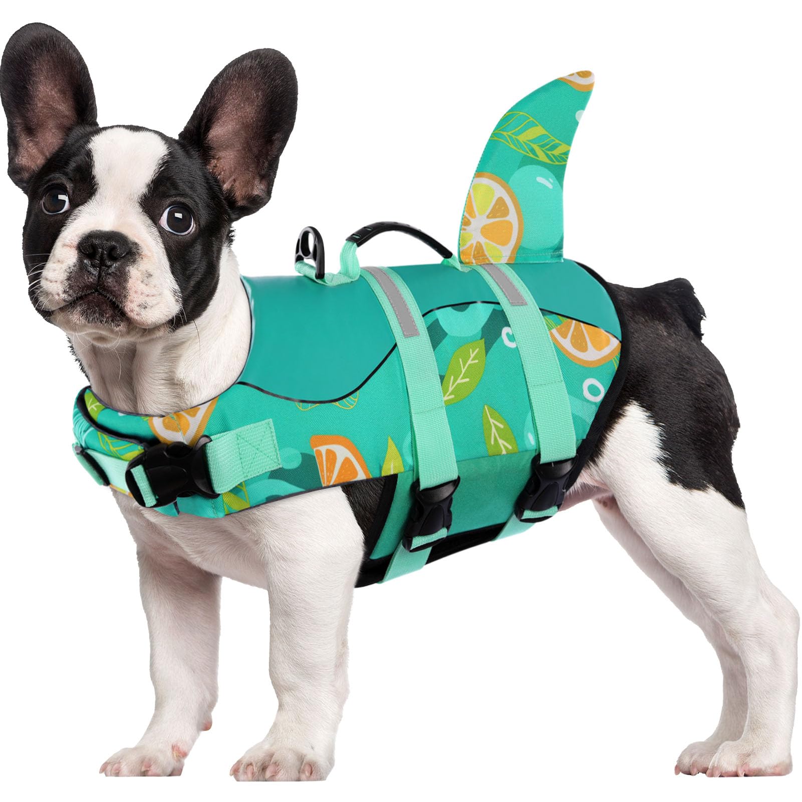 CITÉTOILE Schwimmweste Hunde Hai, Leicht und Sicher für Wassersport, hundeschwimmweste mit Griff und Reflektierend für Kleine Mittlere und Große Hunde, Zitronen Grün, L