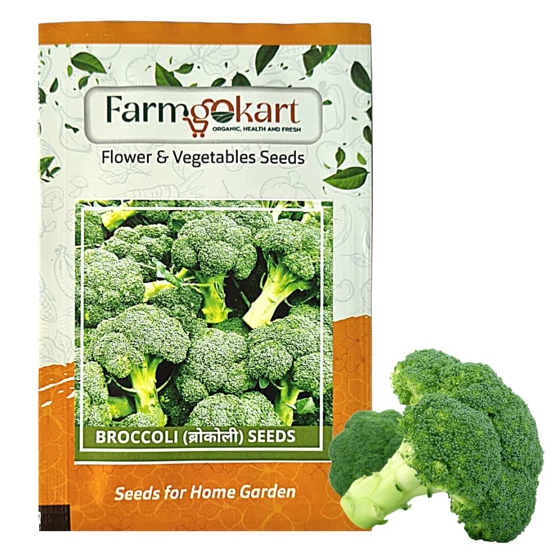 10 Gms - Broccoli -Green (Gobhi) Seeds|Approx 4000 seeds per packet| High Germination Quality Vegetable and Herbs Seeds Pouch | for Home Gardening, Farming and Planting (B0BSQX2HSQ) Amazon Price History, Amazon Price Tracker