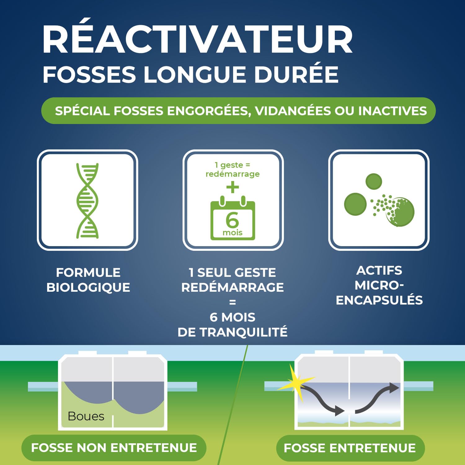 STARWAX Ré-activateur longue durée pour fosses septiques 500g | Réactive les fosses engorgées ou après vidange, 1 geste pour 6 mois de tranquillité, micro-capsules à effet retard