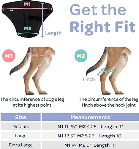 Miniatura 12 de Labra Rodillera canina para perro, férula de metal con bisagras, soporte flexible para ACL K9, CCL, rótula luxante, esguinces de ligamento cruzado