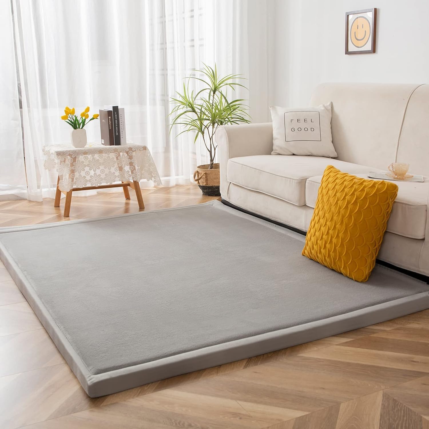 Large Area Rugs for Living Room, Super Soft Coral Velvet Bedroom Carpet with Non-Slip Backing,Weaving Plush Foam Mat for Kids Nursery Room Home Decor Dormitory Yoga (Grey, 2 * 2m)