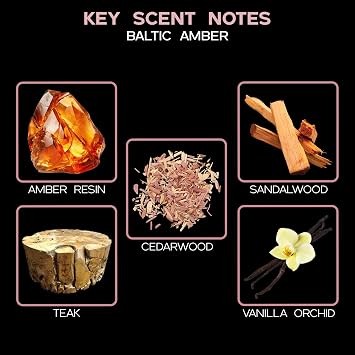 Reed Diffuser Set, Baltic Amber Scented Oil Diffuser with Sticks, Home Fragrance Accessories for Bathroom Shelf Decor, Aroma Diffusers for Home or Office Fall Decor, USA Made