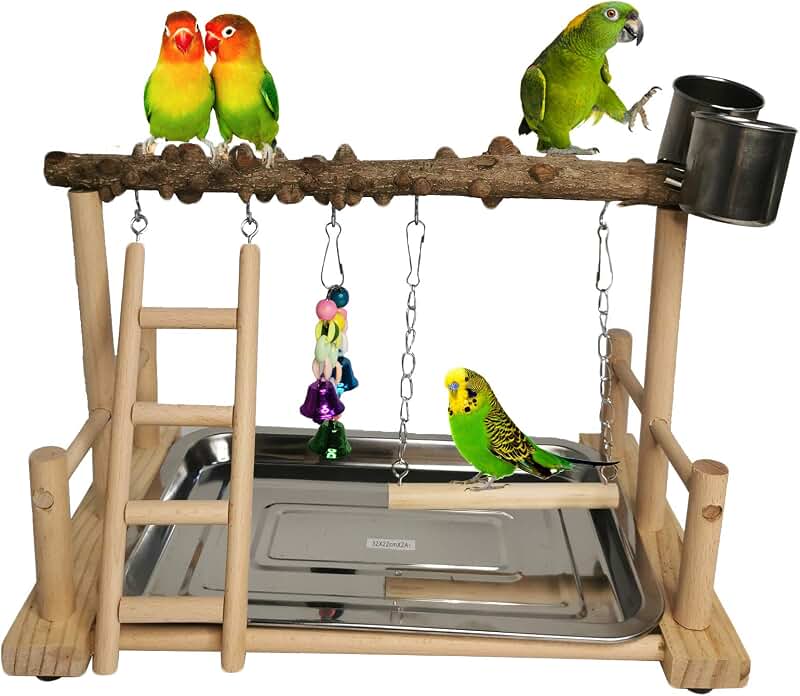 Amazon.com: bird gym - Retained Multi Tiered Bird Gym