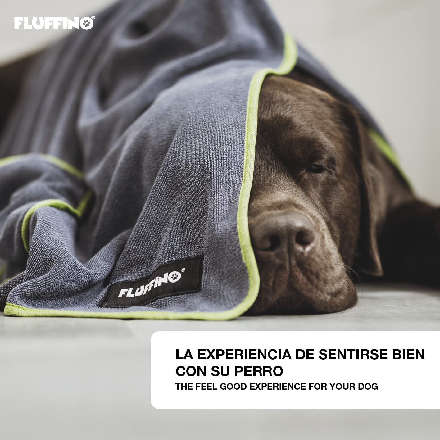 Juego de 2 Toallas para Perros Talla M/L - 120x70cm, Extremadamente Absorbente y Suave | Lavable a 60°C, Toalla de Microfibra de Secado rápido para Perros medianos & Grandes