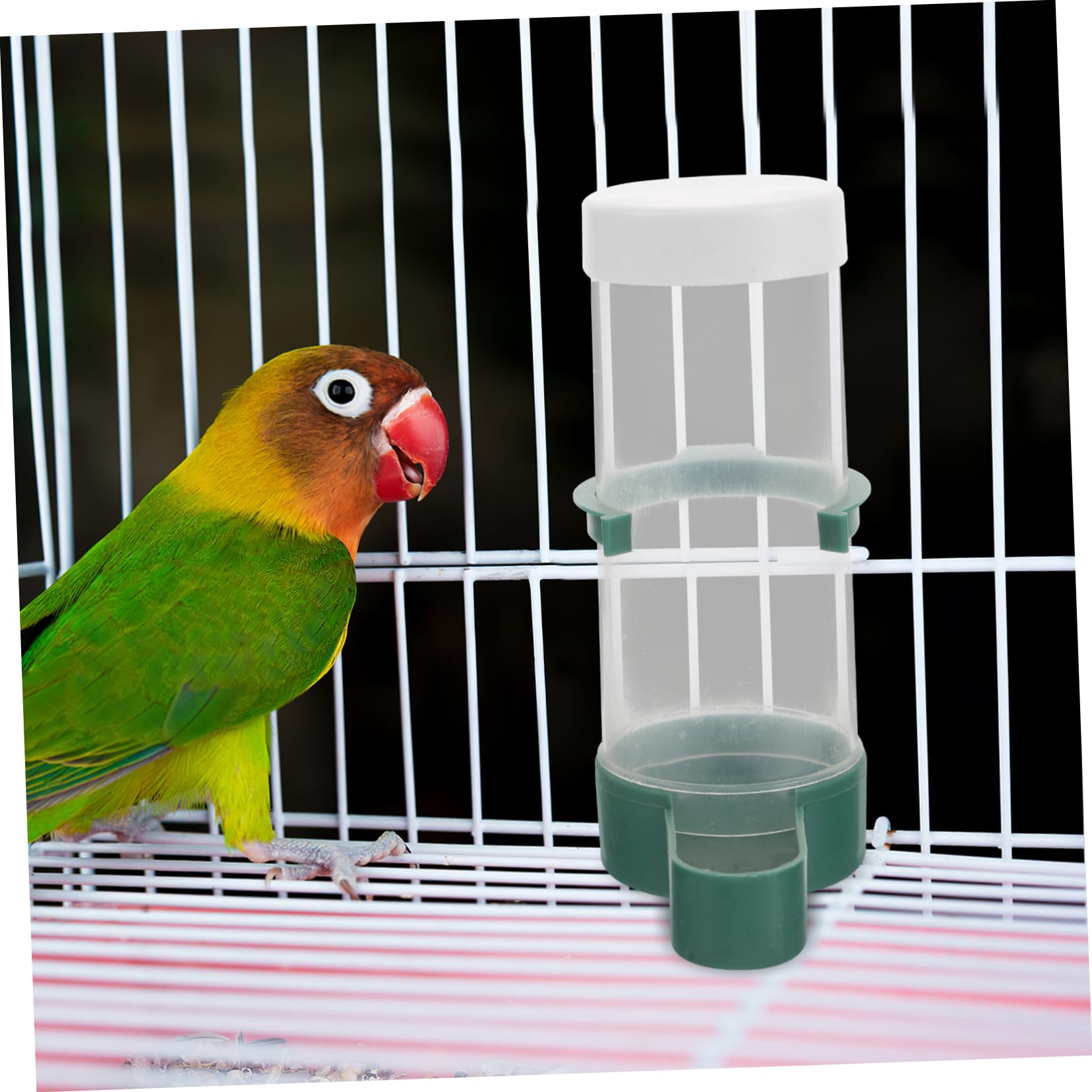 20stücke Automatischer Vogelfutterspender Für Sittiche Kanarienvögel Und Andere Vögel Praktische Futter Und Wasserversorgung Für Vogelkäfige Und Nester Einfache Handhabung