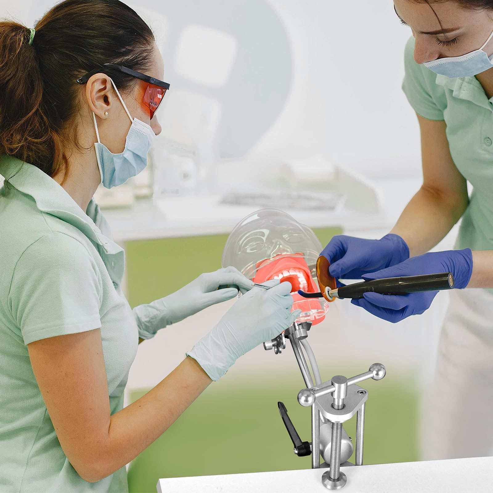 Ultrassist Maniquí dental con 32 dientes de Typodont con soporte de mesa y cabeza fantasma dental