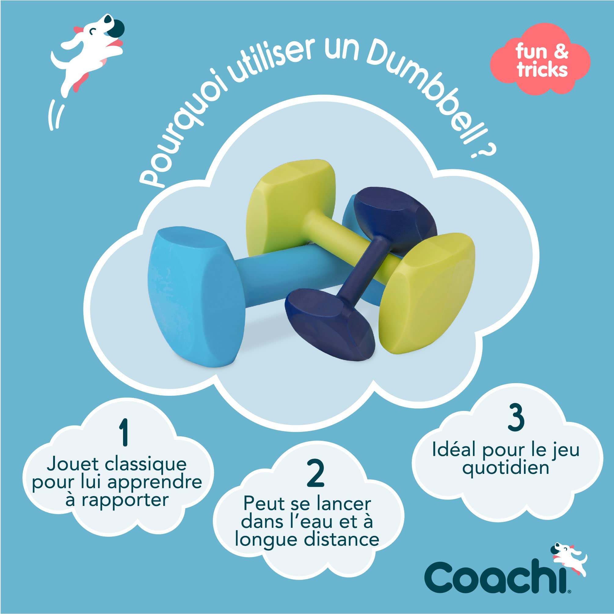 Company of Animals Coachi Training Dumbbell