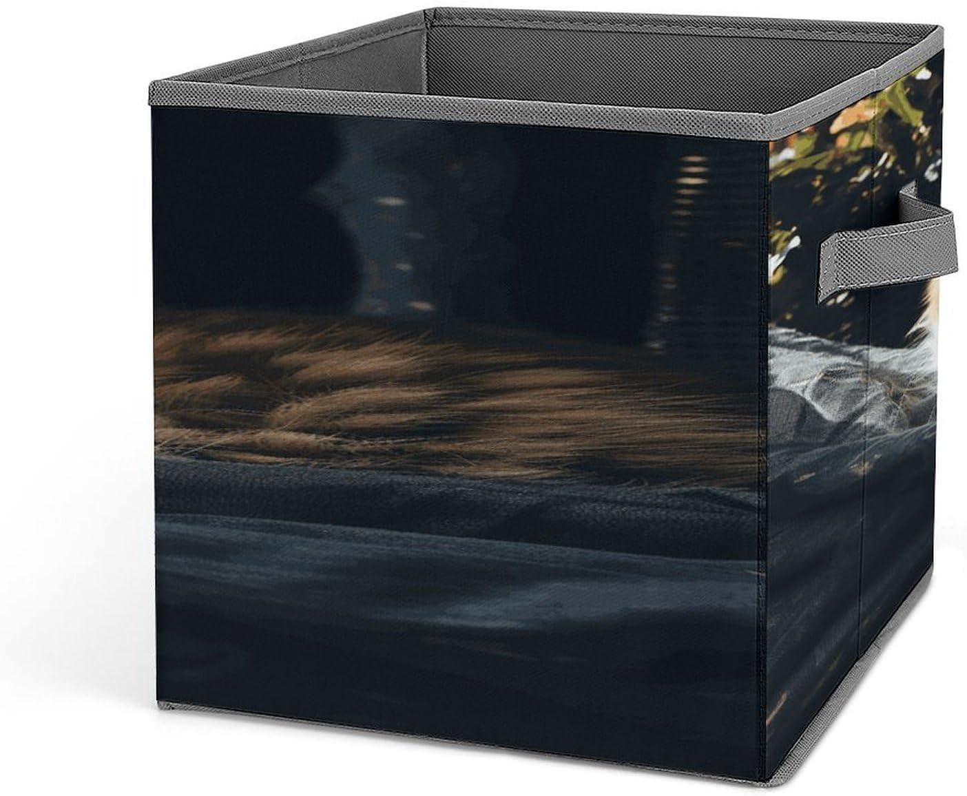 Resting Cat Fabric Bins Storage Basket Square Baskets | Storage Bin with Double Handles,Cube Collapsible Organizers for Organization,Closet,Shelves,Offices