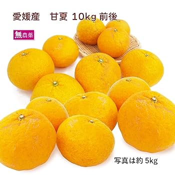 Amazon.co.jp: ベジタブルハート 柑橘 甘夏 10kg前後 無農薬栽培