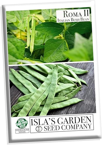 Semillas de frijol italiano Roma II para plantar, más de 30 semillas de reliquia por paquete, semillas de jardín de Isla (semillas de jardín de